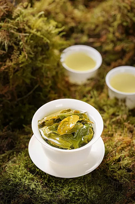 铁观音茶汤图片素材-花瓣网