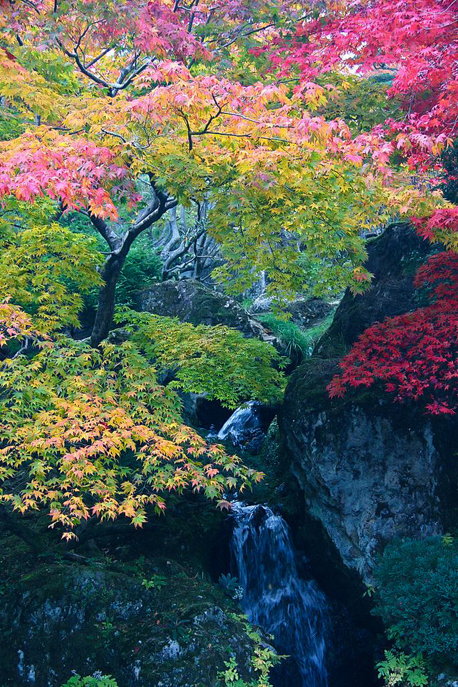 此山不解此水语，
此水似懂霓虹光