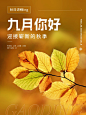 9月你好月初问候小红书配图
