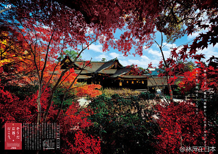 最美是深秋 | 京都红叶 。