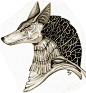 阿努比斯（安普）（anubis or anpu)，奥西里斯之子。有人认为是伊希斯所生，也有人认为是娜芙提斯所生。他是介于黑夜与黎明的中间状态的神灵。