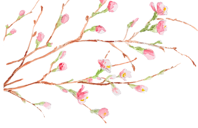 手绘桃花枝2