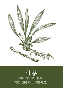 白泽采集到中药插画-线稿