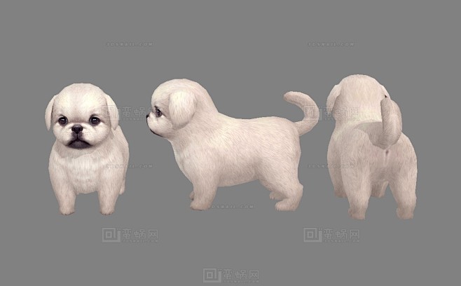 卡通小狗 北京犬 京巴犬B版 宫廷狮子狗 小型玩赏犬 白色小狗宝宝 狗崽子 宠物犬 宠物狗 dog 幼犬Pekingese - 综合模型 蛮蜗网