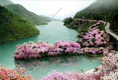 _旋蝶深林采集到景观