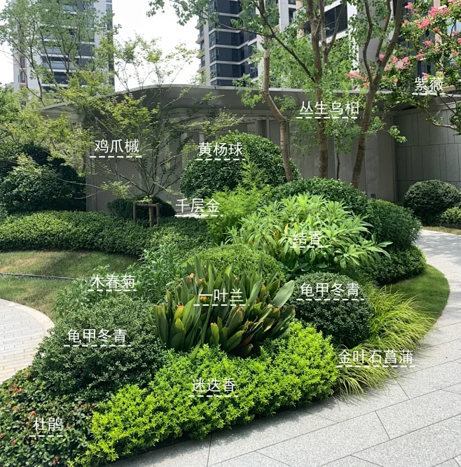 植物组合｜花境案例分析 - 小红书
