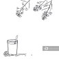 芥末。向量的背景。图片素材