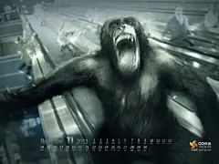 2011年11月份高清战士日历桌面壁纸4