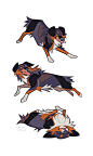 Studies - Shepherd by oxboxer.deviantart.com on @deviantART: 