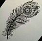into this amazing feather we can see several drawings. Just Perfect !: 