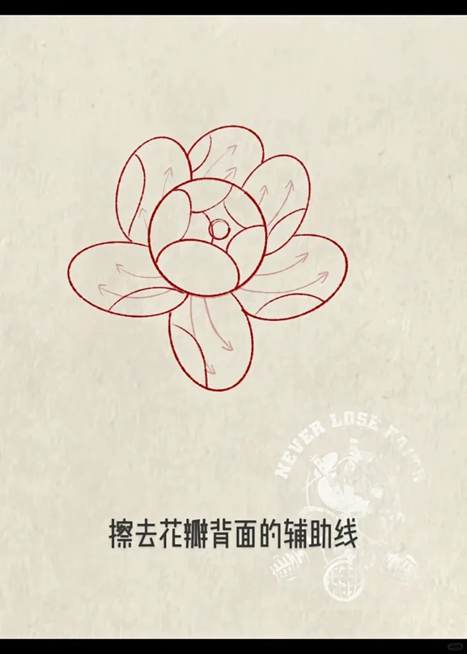 新传统风格牡丹画法 - 小红书