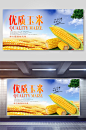 优质玉米食材促销宣传展板