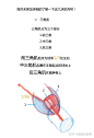 【春哥课堂】手臂肌肉到底怎么画？（理解+练习） : 本期关键词：手臂运动规律、生长点、夹子、圆柱......（春哥课堂是一组条漫绘画教程，为大家的人体绘画学习提供简单的参考。） 上节课躯干的链接戳这里：人体躯干肌肉到底怎么画？（比例+穿插关系） - 画画的春哥…