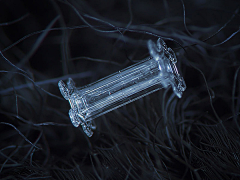 古泱采集到雪花