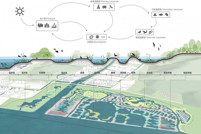 横琴国家湿地公园概念方案设计，珠海 / ...