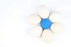 易碎，蛋黄，彩蛋，白色，食物，蛋壳，复活节，水煮蛋，营养，蛋白质，美食，鸡蛋，早餐，新鲜鸡蛋，健康，818A6553 – 饿狐背景网站-微距高清设计素材免费图片下载海报壁纸摄影背景素材，背景图，背景墙，背景板，背景图片，背景纹理，背景板设计，背景材质，背景大图