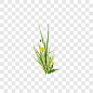 草地草坪绿草装饰图案PNG图片➤来自 PNG搜索网 pngss.com 免费免扣png素材下载！