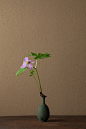 2012年5月26日（土）
日光の白根山に多く、花が立葵に似ていることからの名です。
花＝白根葵（シラネアオイ）
器＝青銅王子形水瓶（六朝時代）