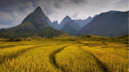 最火微博 8月8号  这钢琴屌爆了，菜鸟...