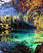 瑞士Blausee蓝湖 ​#自然风光# ​​​​