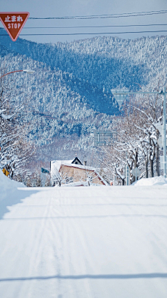 小鱼-X采集到雪景