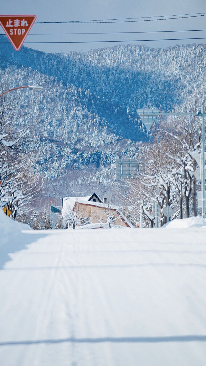 雪景