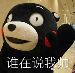 本尊是话痨采集到表情包