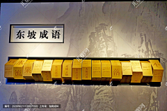 氵_鱼采集到展项