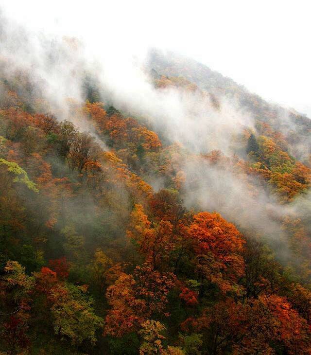 未来半年中国最美旅行时间表，全都美哭了-...