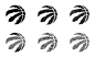 TORONTO RAPTORS REBRAND