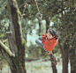A happy childhood