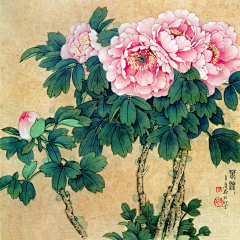 虎丘25采集到画画画
