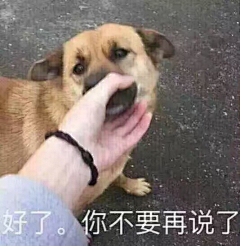 胖丁一个采集到表表表表情我也不知道为什么我要搞这个