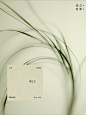 植物光阴·立春｜春之立_1_述之有味_来自小红书网页版