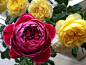11a874cf3bc79f3dd8e413aebea1cd11738b29b8
