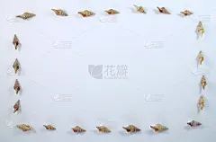 平面布局组成的框架边界上的小贝壳白色背景文本空间