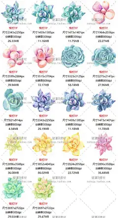 cm310暖色森系多肉植物瓢昆虫水滴水彩插画banner海报PS设计素材-淘宝网