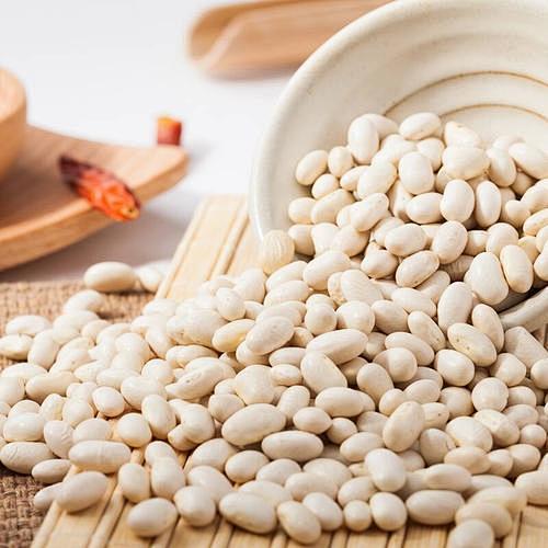 白芸豆百度图片搜索