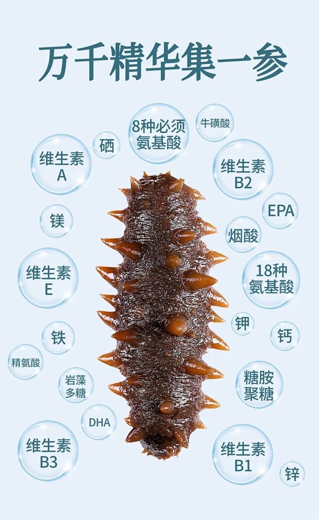 海参的6大营养价值和功效，赶紧收藏！-花瓣网