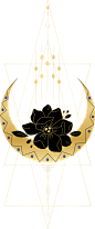 金箔神秘天体几何手星太阳月亮插画AI矢量免抠PNG图案 (13)