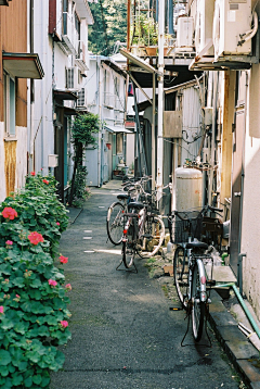 白茶子采集到风景