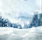 Vodka Poster - Simple manipulation : Bottle poster with christmas theme.