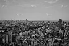 布Aires-Argentina。黑白鸟瞰图