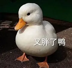 鸭鸭表情包_360图片