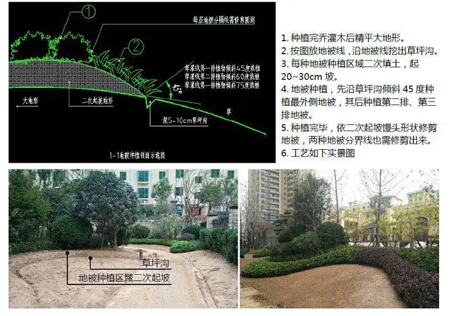 地被栽植设计说明-花瓣网