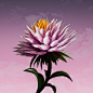 3D c4d cinema 4d color Digital Art floral Flowers octane redshift 渲染