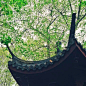 绝美中式山水园林。