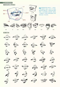 hooooooya采集到速写/线稿/人体