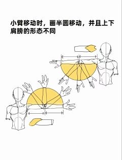 春一番采集到人体