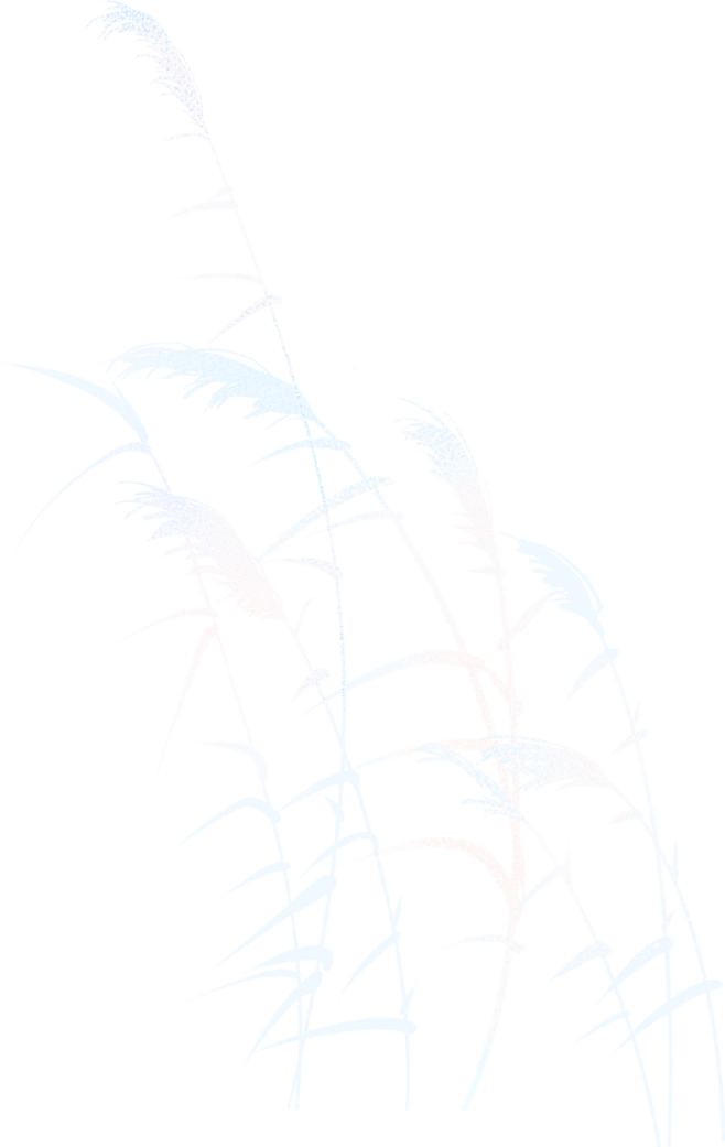 中国风细线渐变噪点冬季人物插画-芦苇